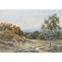 Joseph A Powell (British fl.1901-1914): Wooded Landscape with Sheep, watercolour signed 37cm x 53cm