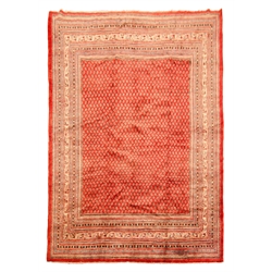 Araak red ground rug, field decorated with repeating Boteh motifs, graduated multicoloured striped geometric border, 364cm x 270cm