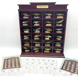 Twenty Four Danbury Mint models of fish, The Angler's Showcase, each with accompanying information card, in wooden wall mounted display shelf, with title plaque, display shelf H61cm L54cm