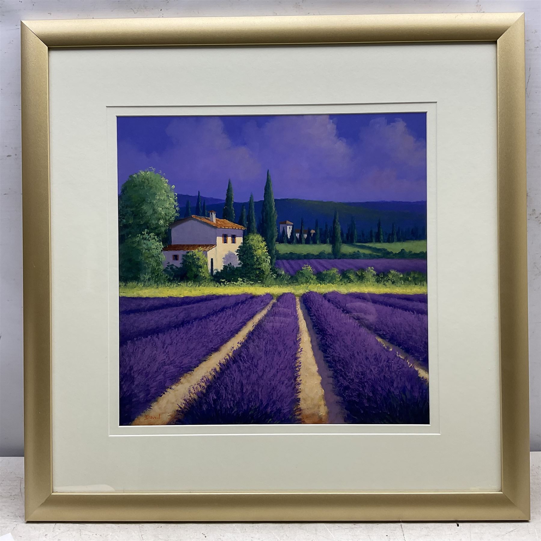 David Short (Nottingham 1940-): Tuscan Vineyards, two oils on board signed, 43cm x 43cm and 29cm x 59cm (2)