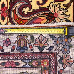 Central Persian Bakhtiar hand-knotted runner, field arranged with a garden panel  design of floral sprays and foliage within a flowerhead and vine border, in tones of crimson, ivory, and indigo with cotton fringe ends 