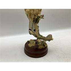 Country Artists figure of a peregrine falcon ' Lord of the Skies ' by David Ivey, limited edition, H44cm, together with two Sherratt and Simpson figures, both of peregrine falcons perched on branches. 