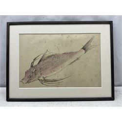 Japanese School (Meiji Period c19th century): Study of a Fish, ink and watercolour unsigned 25cm x 38cm
Provenance: With Christie's London 1st November 2018, The Soame Jennings Collection of Japanese and Chinese Art, Lot 81