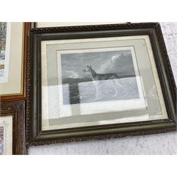 Collection of 19th century and later engravings, landscape watercolours, Indian miniatures, etc 