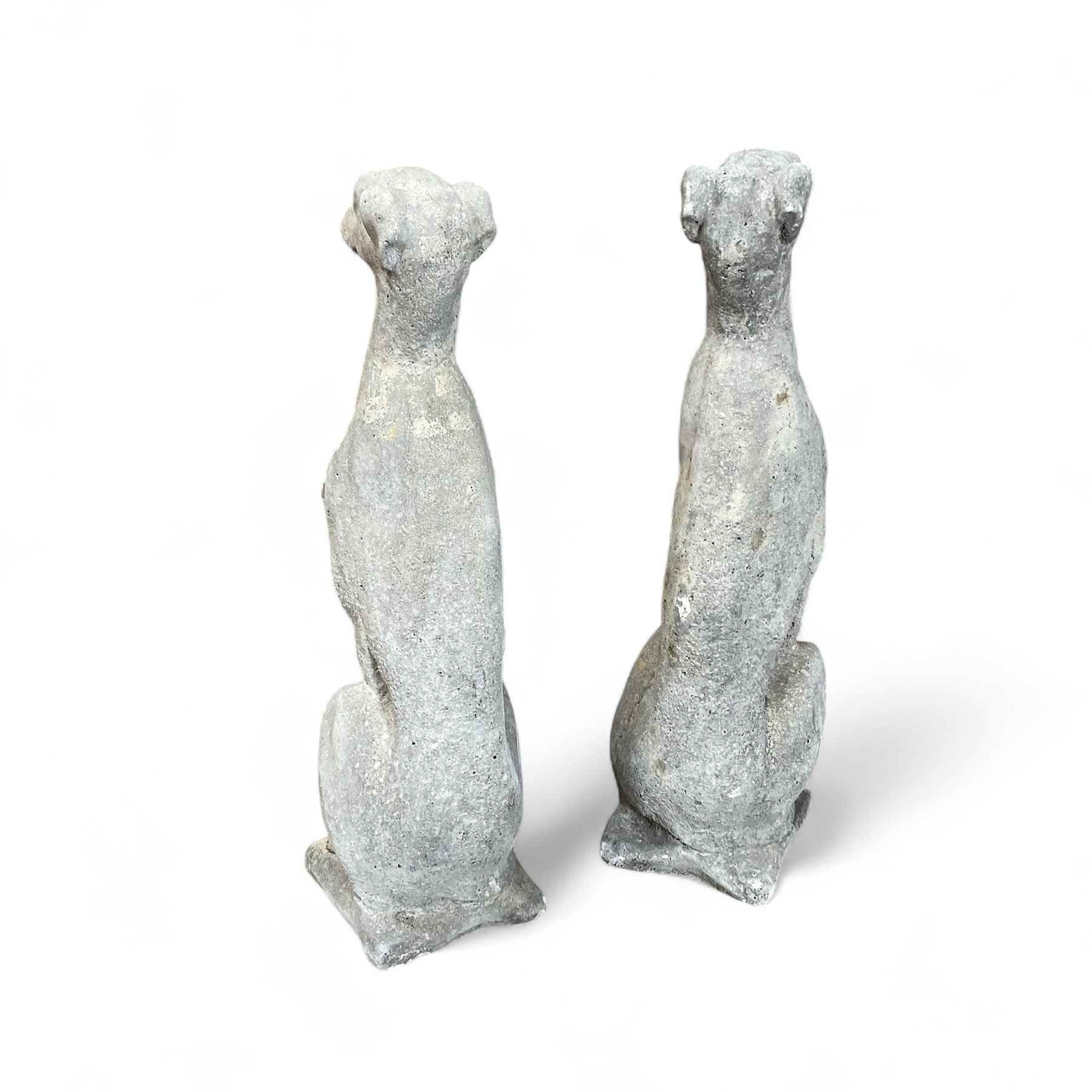 Pair of cast stone sitting greyhounds 