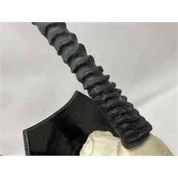 Antlers/Horns: Gemsbok Oryx (Oryx gazella gazella), pair of oryx curved horns on partial skull, mounted on an ebonised shield, H130cm