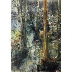 Kane Cunningham (British 1961-): 'Troutsdale Valley Woods', watercolour signed and dated '06, titled verso 105cm x 75cm