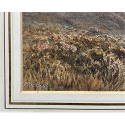 George Weatherill (British 1810-1890): Track on the North Yorkshire Moors, watercolour signed indistinctly dated '77?, 25cm x 42cm