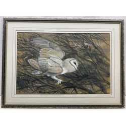 Charles Frederick Tunnicliffe (British 1901-1979): Barn Owl, watercolour gouache charcoal and pencil signed, a preparatory sketch for a larger painting 43cm x 66cm
Provenance: private collection; with Park Lane Galleries, Poynton, Cheshire