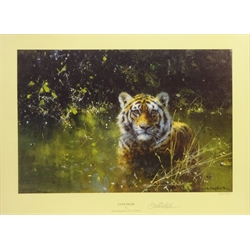  David Shepherd (British 1931-2017): 'Cool Tiger' and 'Young Africa', two limited edition colour prints signed and numbered in pencil with Solomon & Whitehead Ltd blind stamps 28cm x 40cm & 26cm x 35cm (2)  