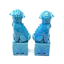 A pair of Chinese turquoise glazed temple dogs, each seated upon rectangular plinths, one resting their paw upon an 'embroidered' ball, the other upon a cub, H24cm. 