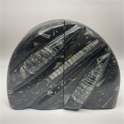 Pair of marble bookends with orthoceras and goniatite inclusions, age: Devonian period, location: Morocco, H15cm