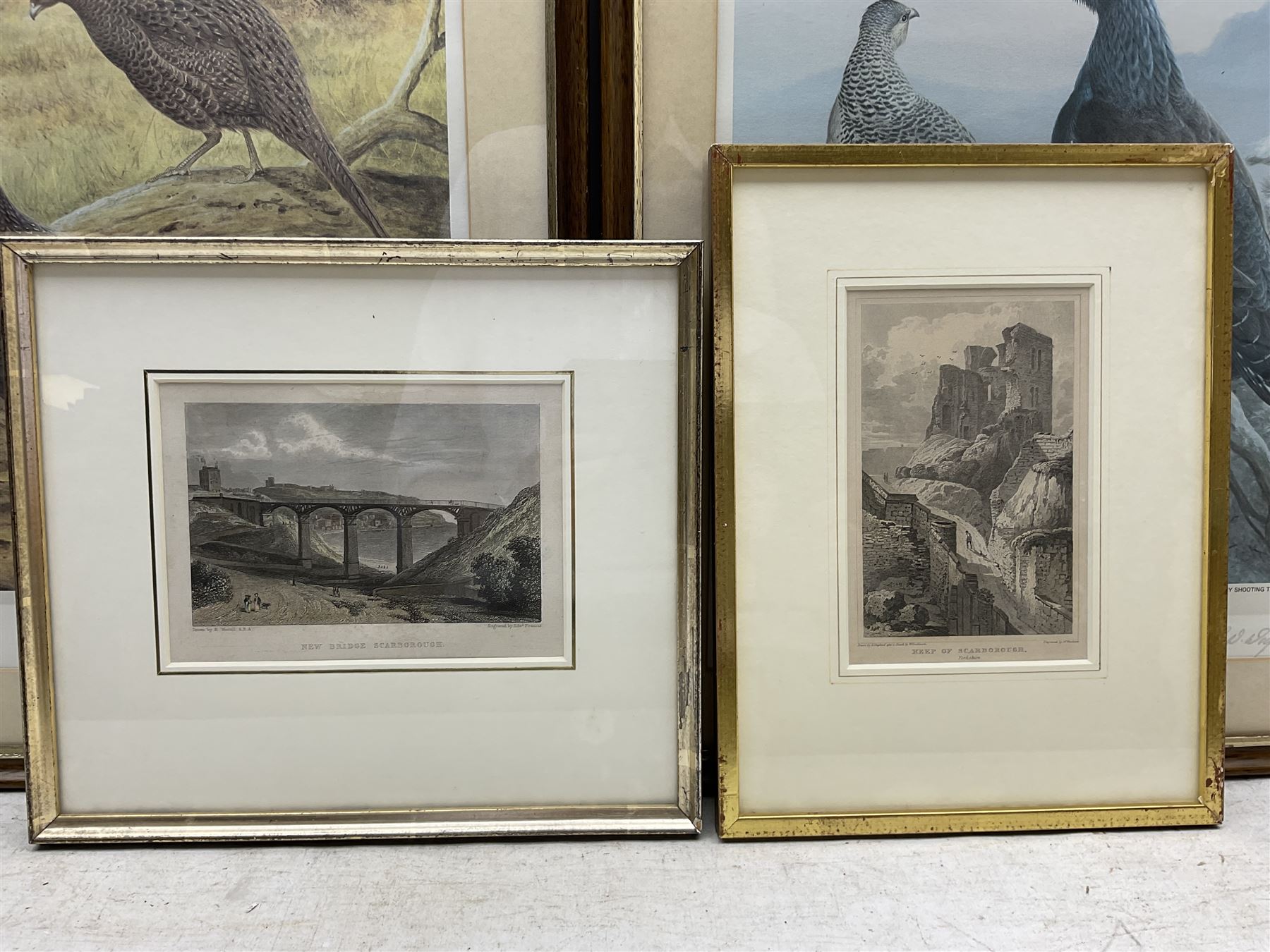 Ron David Digby (British 1936-): Game Birds, set four limited edition colour prints signed and numbered in pencil 43cm x 31cm, together with two small Scarborough engravings (6)