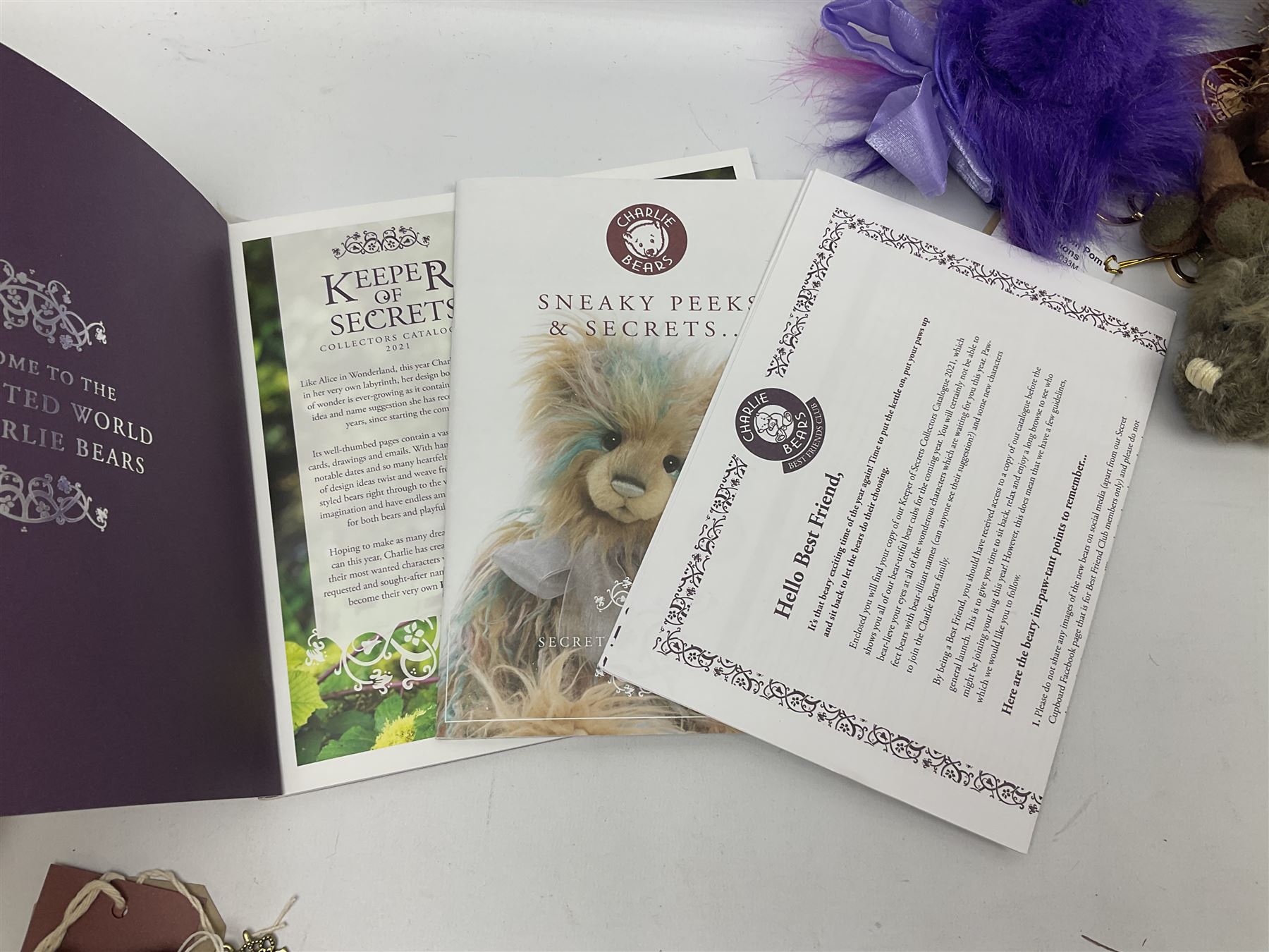 Five Charlie Bears Plush Hug Book Collection books, comprising Guide To Snuggleability containing Snuggleability CB191971F, Paw-Some Facts Directory containing Pawsome CB191971D, Bear Therapy Handbook containing Bear Therapy CB191971E, Study Buddy Handbook containing Study Buddy CB191971A, and Guide to Being Bear-illiant CB191971B, each designed by Isabelle Lee, each with tags, plus Charlie Bears Secret Hug Book (lacking contents), together with assorted Charlie Bear accessories, to include two Bear Ears Duffle headbands CBBEARSDUF, Egg Cup CB185198 , Incy Wincy CB205252AO, with tag, four key rings, all with tags, Bear Care Kit and contents, recipe cards, pin badges, tape measure, notebook, etc., (Qty)