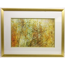  Garden Urn, Classical Architecture and Autumnal Trees, three contemporary prints framed max overall 98cm x 83cm (3)   