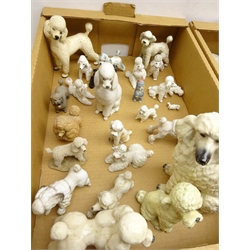  Large collection of Poodle ceramic & composite models comprising Melba ware, Sylvac, Beswick, continental makers etc (qty)  