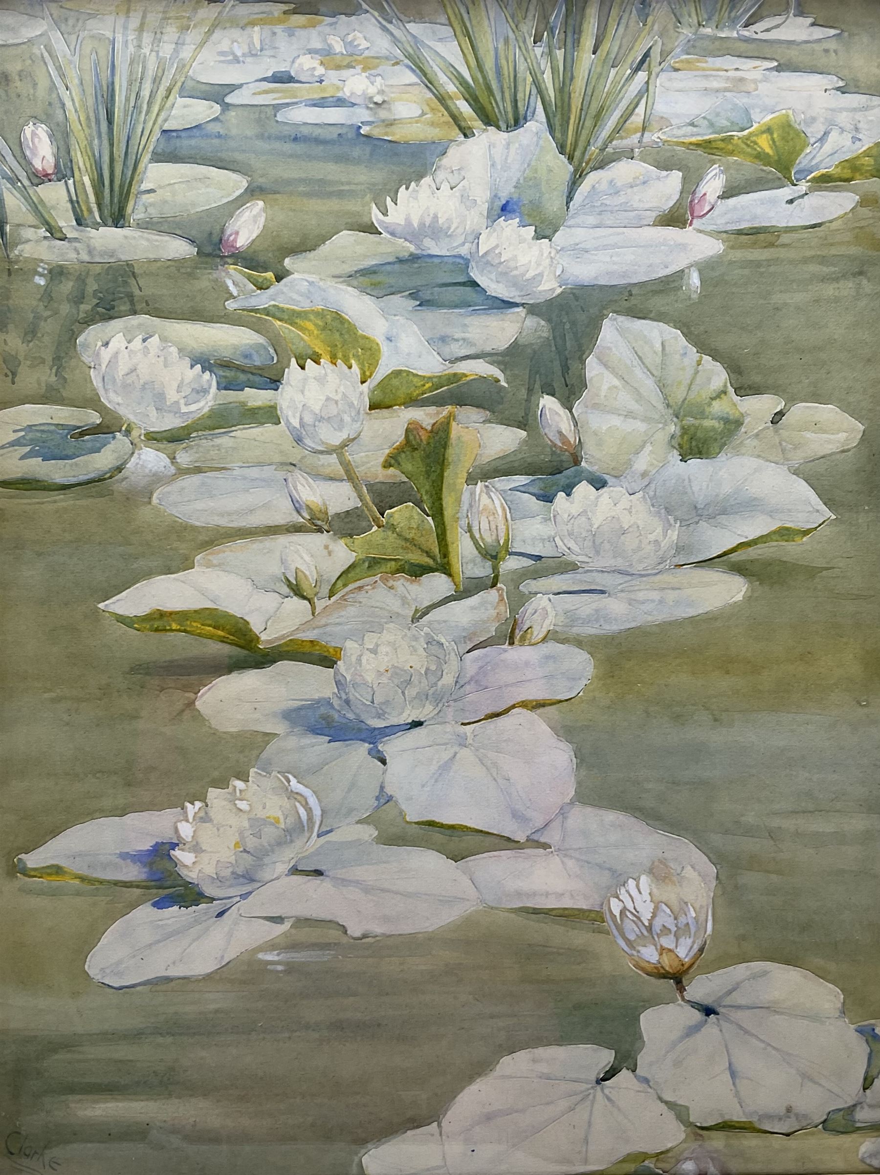 Richard Edward Clarke (British 1878-1954): Waterlilies, watercolour signed 53cm x 40cm