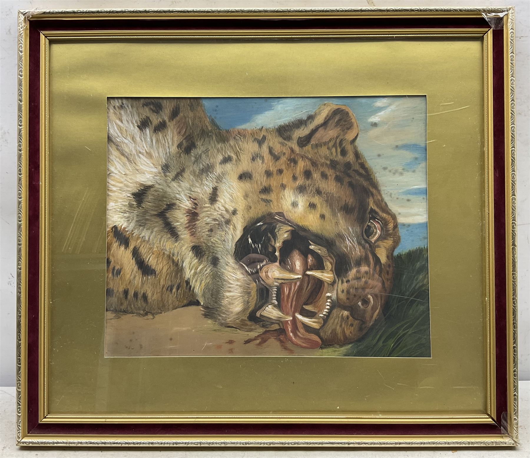 Continental School (20th Century): Leopard's Head, pastel unsigned 31cm x 37cm 