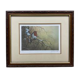 Robert E Fuller (British 1972-): 'Robin on Hawthorn', limited edition colour print signed and numbered 154/2000 in pencil 18cm x 25cm