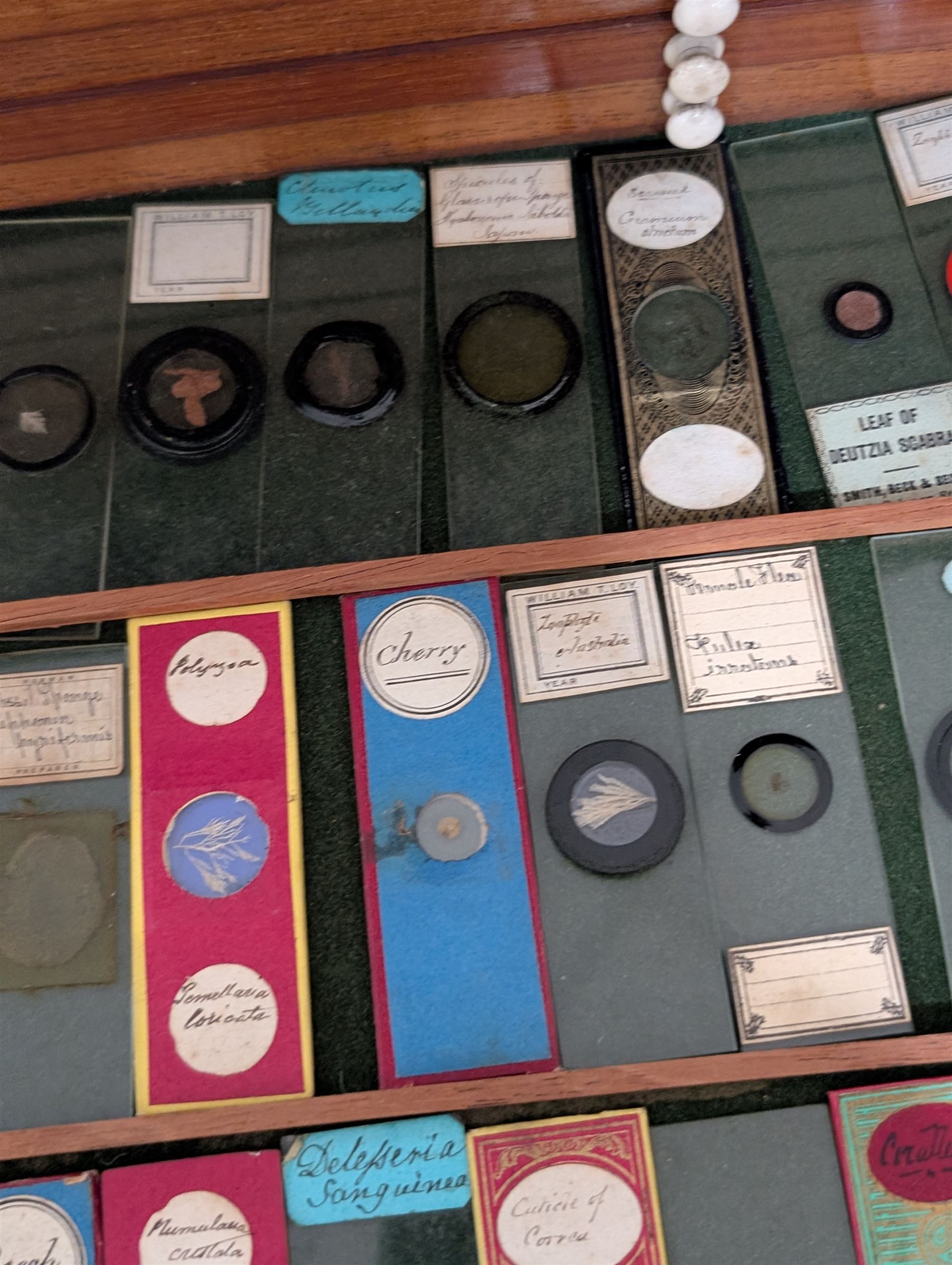 Victorian collector's specimen cabinet, containing a number of prepared microscope slides including miniature photographs, animal and human pathological, physiological and histological specimens and botanical specimens, mostly annotated in ink, the cabinet with glazed door, the drawers with bone handles and lined with green felt, owned by Dr Arthur Bristow, together with a picture of the doctor, cabinet H43cm