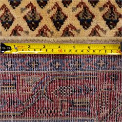 West Persian Boteh-Mir hand-knotted rug, ivory field densely decorated with a repeating lattice of of small boteh motifs arranged in diagonal rows enclosed by a broad border of stylized geometric devices and angular floral ornament between multiple guard stripes with cotton fringe ends 