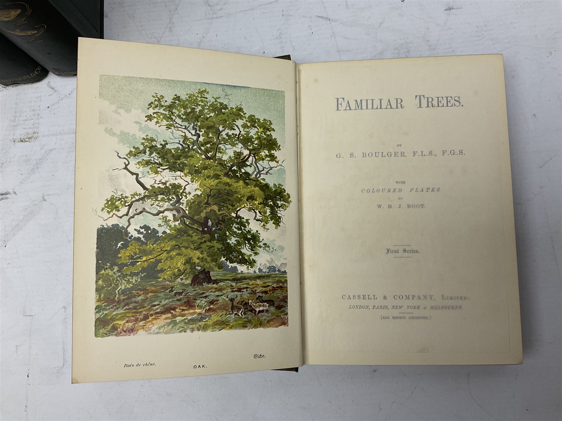 Maxwell, Herbert; 'British Fresh-Water Fish', Afalo, F.G; 'British Salt Water Fish', Hulme, F. Edward: 'Wild Fruits of the countryside' Boulger, G.S; Familiar Trees, two volumes, all with coloured plates, together with three other books