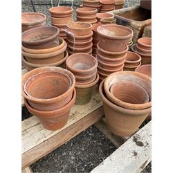Selection of different size terracotta garden pots