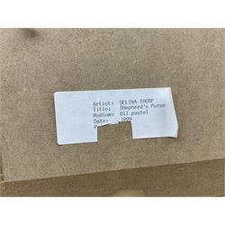 Selina Thorp (British 1968-): 'Shepherd's Purse', pastel signed, titled and dated 1999 on label verso 9cm x 9cm