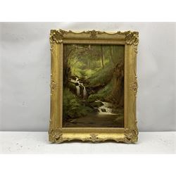 Frederick William Elwell (British 1870-1958): Woodland Waterfall, oil on panel signed and dated 1915, 39cm x 29cm
Provenance: East Yorkshire private collection

