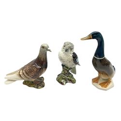 Three Beswick figures comprising Kookaburra no.1159, Pigeon no.1383 and Duck no.756-1, all with impressed and printed marks beneath