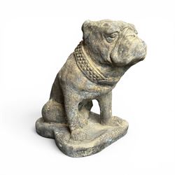 Cast stone garden statue on the form of a seated British bulldog with studded collar on a shaped rectangular base