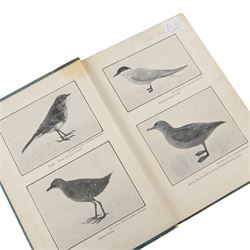 Six natural history books, Souths; Moths of the British Isles Vol.1 and 2, Furneaux; Butterflies, Moths and Other insects, Collins pocket guide to British Birds, The Field Naturalists Handbook and New Zealand Birds and How to Identify them