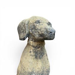 Pair of cast stone hunting pointer dogs in seated poses raised on rectangular bases, in antique weathered finish