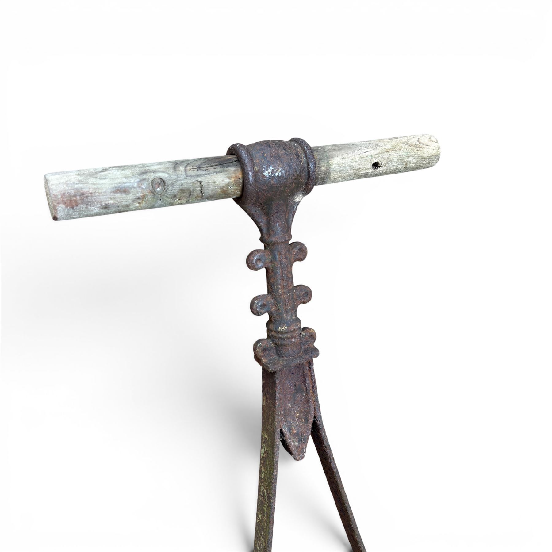 Edwardian cast iron garden roller, set with circular Lion plaque, wooden handle