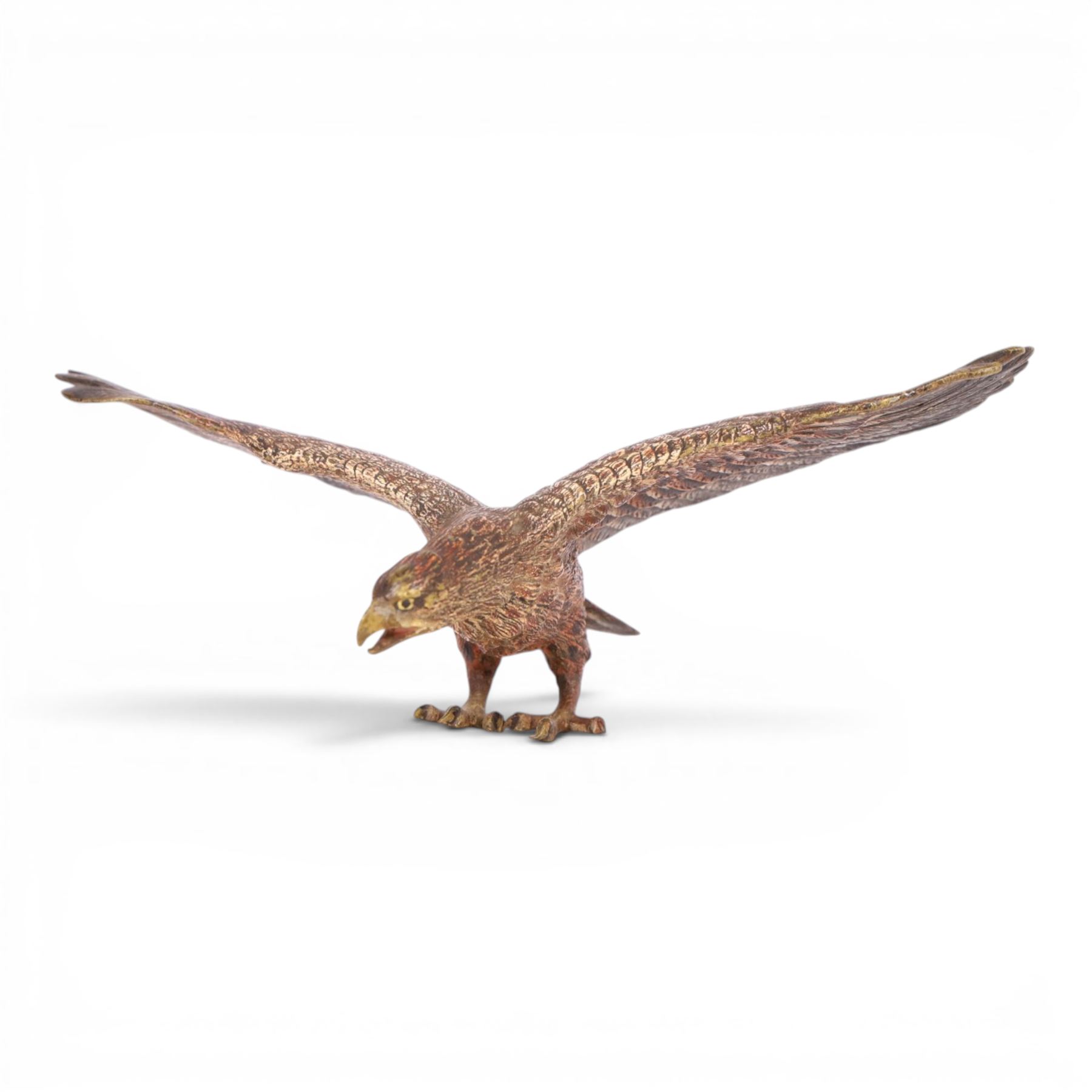 20th century cold painted bronze eagle with spread wings, H8cm, L18cm