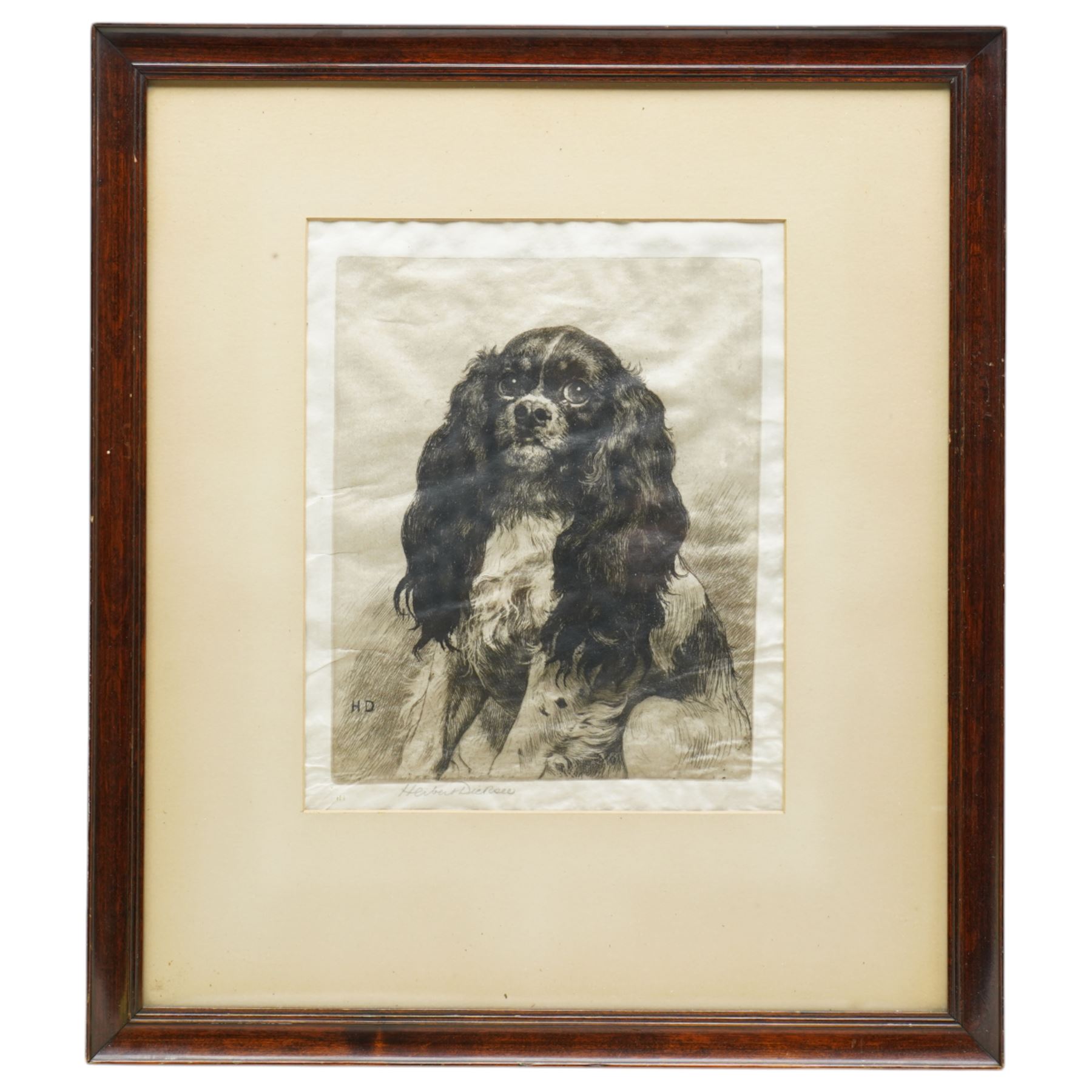 Herbert Dicksee (British 1862-1942): 'Bonnie Prince Charlie - A King Charles Spaniel', drypoint etching on vellum signed in pencil pub. Fine Art Society 1902, 27cm x 22cm