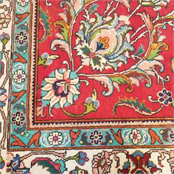 Persian Kashan carpet, red madder field, all over design of scrolling palmettes and flowering vines framed by an ivory border of lotus and arabesques between turquoise and red floral guards 294x387cm
