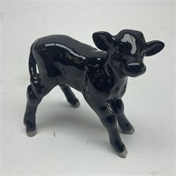 Beswick Aberdeen Angus family group, comprising bull 1562, cow 1563 and calf 1827A