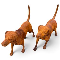 Pair of weathered cast iron garden statues in the form of standing foxhounds with outstretched tails and collars, in rusted patina