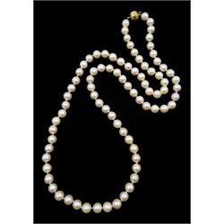Single strand pearl necklace, eighty-three pink/peach cultured pearls, with 9ct gold ball clasp, maker's mark SP, Birmingham import mark 1989, in Mikimoto box with guarantee card