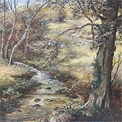 N C Hanson (British 20th century): Pair of oil on board North Yorkshire Moors landscapes signed, largest 66cm x 56cm (2)