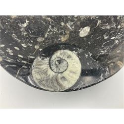 Circular dish with a raised goniatite, with orthoceras and goniatite inclusions, age: Devonian period, location: Morocco, D22cm, H5cm
