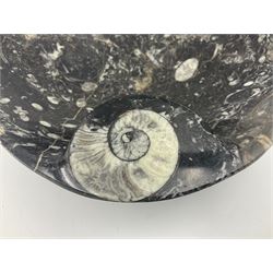 Circular dish with a raised goniatite, with orthoceras and goniatite inclusions, age: Devonian period, location: Morocco, D22cm, H5cm
