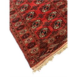 Bokhara red ground rug, decorated with two rows of Gul motifs, the border with geometric guard bands decorated with stylised plant motifs