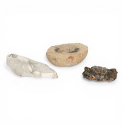 Zanthopsis leachi (crab), age; Eocene period, location; Isle of Sheppey, Kent, together wi...