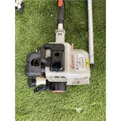 Petrol GCMT262 telescopic hedge trimmer and Echo HCR-171ES hedge trimmer  - THIS LOT IS TO BE COLLECTED BY APPOINTMENT FROM DUGGLEBY STORAGE, GREAT HILL, EASTFIELD, SCARBOROUGH, YO11 3TX