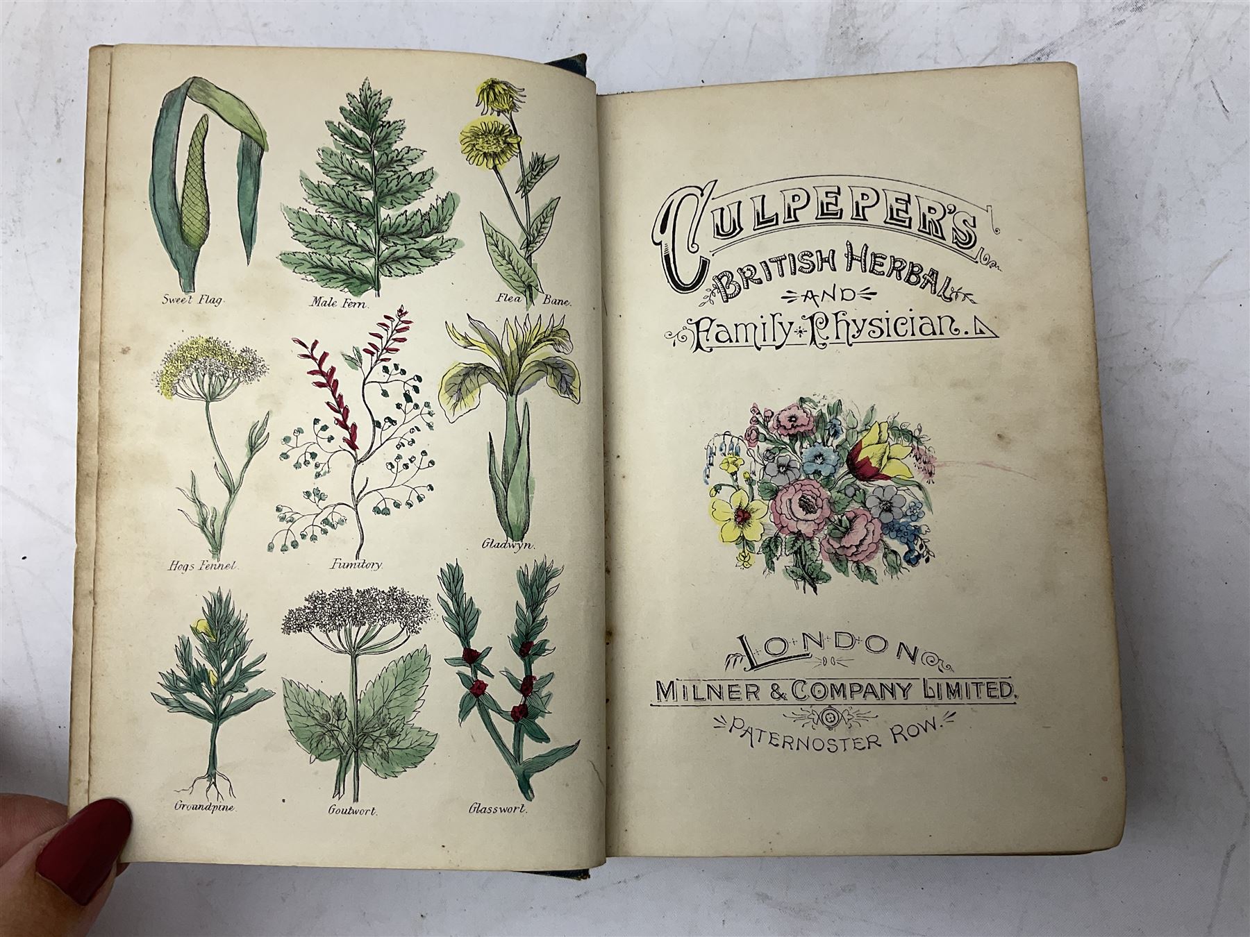 Culpeper's British Herbal and Family Physician with hand-coloured herbal bookplates, together with The Gardeners and Poultry Keepers Guide and Illustrated Catalogue of Goods Manufactured and Supplied by William Cooper,  Mr Middleton's Garden Book etc