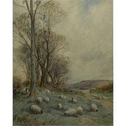 David Thomas Robertson (British 1879-1952): Sheep Grazing in a Yorkshire Landscape, watercolour signed 54cm x 42cm 