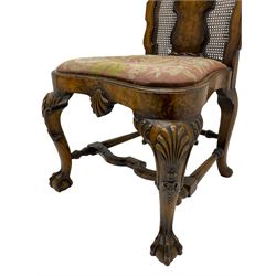 Pair of early 20th century Queen Anne design chairs, the cresting rail carved with scroll and central shell motif, shaped uprights and splat encased in cane work panels, shaped moulded seat frame with shell motif, floral needlework upholstered drop-in seat cushion, on shell carved cabriole supports with ball and claw feet, united by turned and shaped middle stretcher carved with acanthus leaf