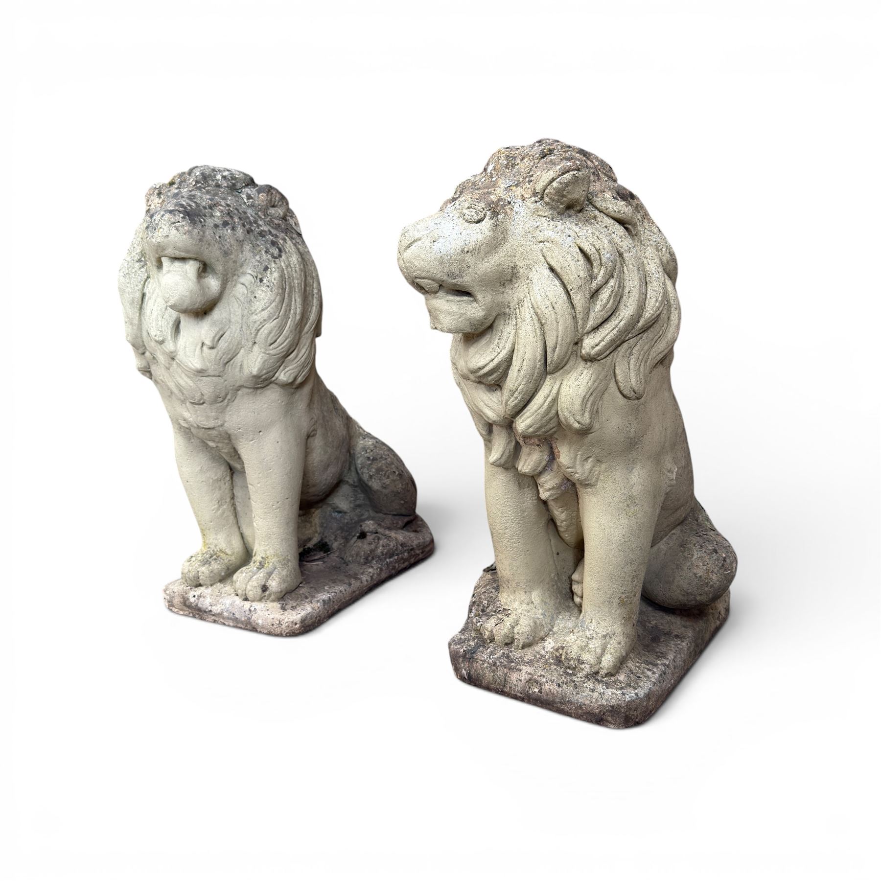 Pair of cast stone garden lions, seated on rectangular plinths